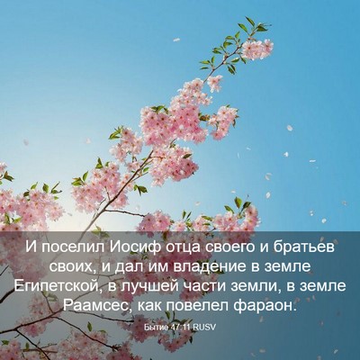 Picture 03 - Бытие 47:11 RUSV - И поселил Иосиф отца - Bible Verse Picture