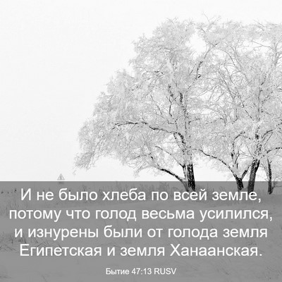 Picture 03 - Бытие 47:13 RUSV - И не было хлеба по всей - Bible Verse Picture