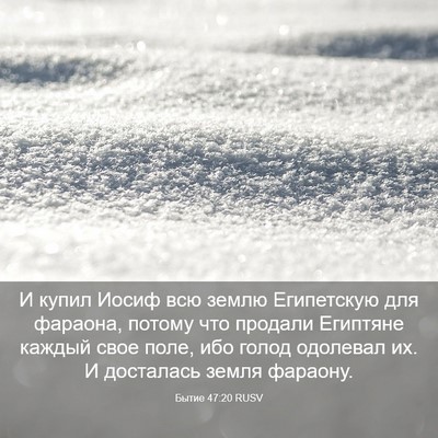 Picture 03 - Бытие 47:20 RUSV - И купил Иосиф всю землю - Bible Verse Picture