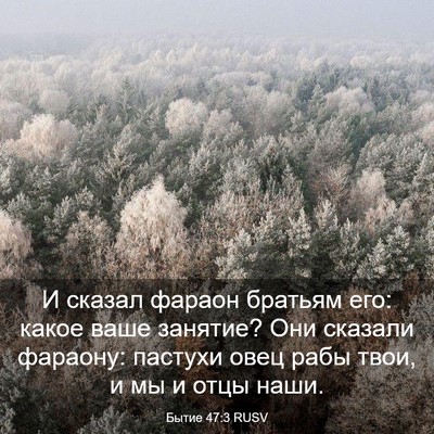 Picture 03 - Бытие 47:3 RUSV - И сказал фараон братьям - Bible Verse Picture