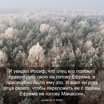 Picture 03 - Бытие 48:17 RUSV - И увидел Иосиф, что отец - Bible Verse Picture