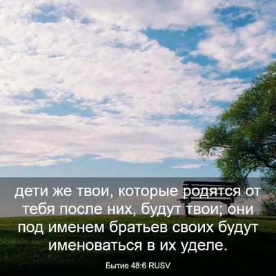 Picture 03 - Бытие 48:6 RUSV - дети же твои, которые - Bible Verse Picture