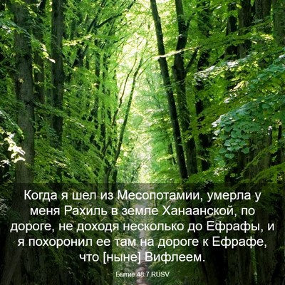Picture 03 - Бытие 48:7 RUSV - Когда я шел из Месопотамии, - Bible Verse Picture