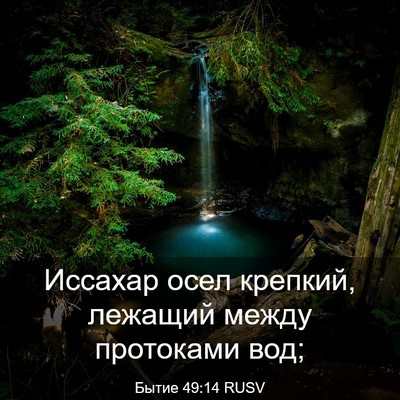 Picture 03 - Бытие 49:14 RUSV - Иссахар осел крепкий, - Bible Verse Picture