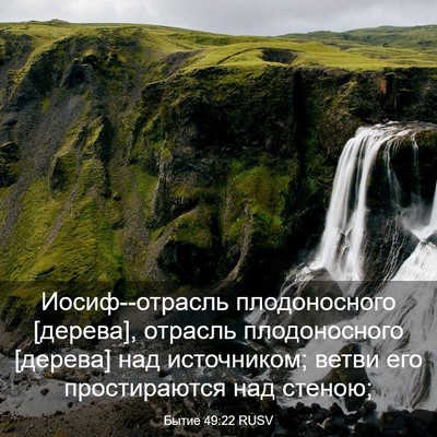 Picture 03 - Бытие 49:22 RUSV - Иосиф--отрасль - Bible Verse Picture