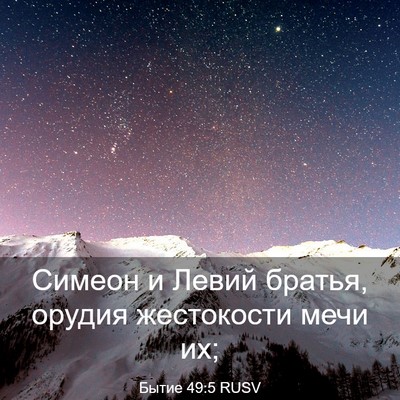 Picture 03 - Бытие 49:5 RUSV - Симеон и Левий братья, - Bible Verse Picture