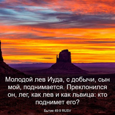 Picture 03 - Бытие 49:9 RUSV - Молодой лев Иуда, с добычи, - Bible Verse Picture