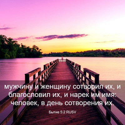 Picture 03 - Бытие 5:2 RUSV - мужчину и женщину сотворил - Bible Verse Picture