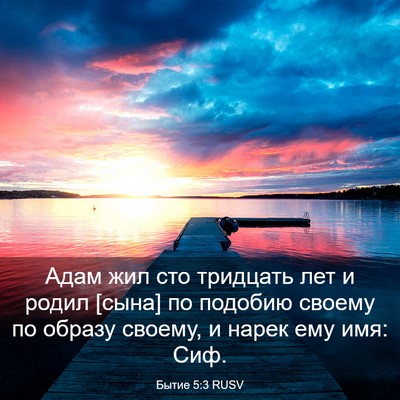 Picture 03 - Бытие 5:3 RUSV - Адам жил сто тридцать лет и - Bible Verse Picture