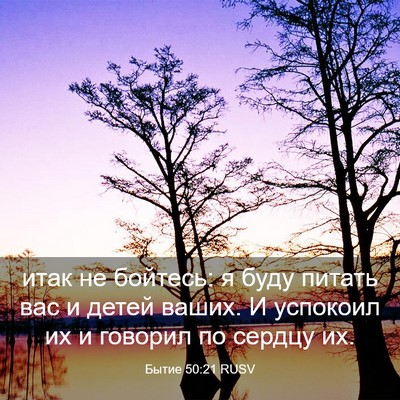 Picture 03 - Бытие 50:21 RUSV - итак не бойтесь: я буду - Bible Verse Picture
