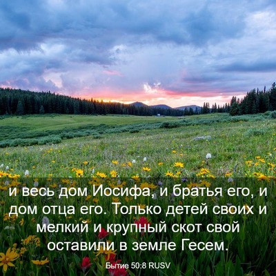 Picture 03 - Бытие 50:8 RUSV - и весь дом Иосифа, и братья - Bible Verse Picture