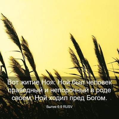 Picture 03 - Бытие 6:9 RUSV - Вот житие Ноя: Ной был - Bible Verse Picture