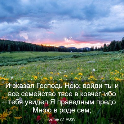 Picture 03 - Бытие 7:1 RUSV - И сказал Господь Ною: войди - Bible Verse Picture