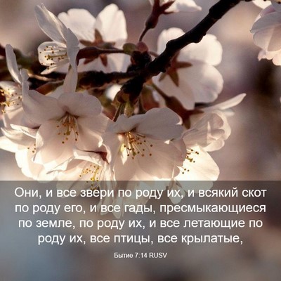 Picture 03 - Бытие 7:14 RUSV - Они, и все звери по роду их, - Bible Verse Picture