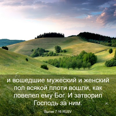 Picture 03 - Бытие 7:16 RUSV - и вошедшие мужеский и - Bible Verse Picture