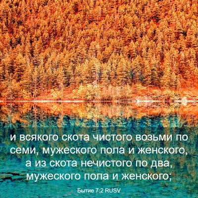 Picture 03 - Бытие 7:2 RUSV - и всякого скота чистого - Bible Verse Picture