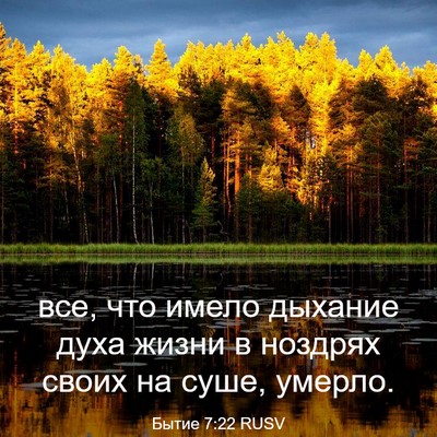 Picture 03 - Бытие 7:22 RUSV - все, что имело дыхание духа - Bible Verse Picture