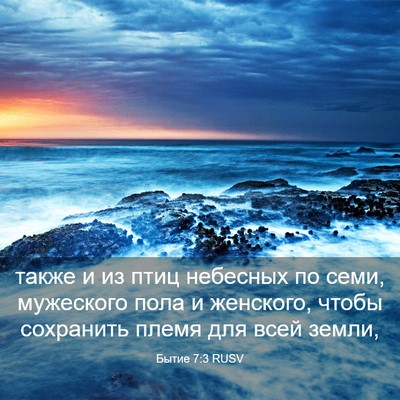 Picture 03 - Бытие 7:3 RUSV - также и из птиц небесных по - Bible Verse Picture