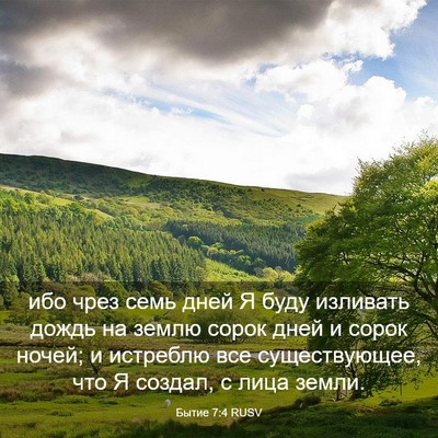 Picture 03 - Бытие 7:4 RUSV - ибо чрез семь дней Я буду - Bible Verse Picture