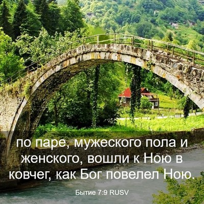 Picture 03 - Бытие 7:9 RUSV - по паре, мужеского пола и - Bible Verse Picture