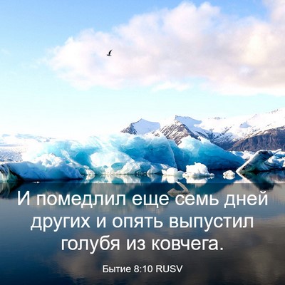 Picture 03 - Бытие 8:10 RUSV - И помедлил еще семь дней - Bible Verse Picture
