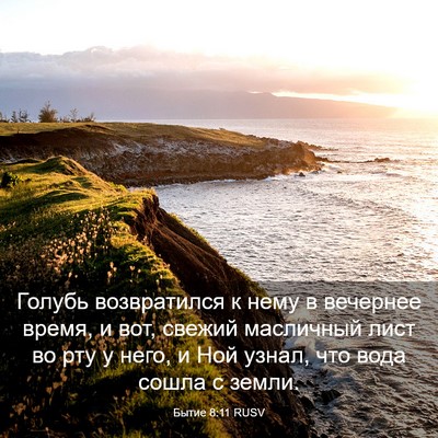 Picture 03 - Бытие 8:11 RUSV - Голубь возвратился к нему - Bible Verse Picture