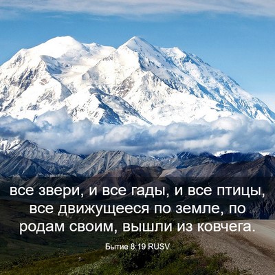 Picture 03 - Бытие 8:19 RUSV - все звери, и все гады, и все - Bible Verse Picture