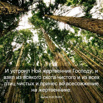 Picture 03 - Бытие 8:20 RUSV - И устроил Ной жертвенник - Bible Verse Picture