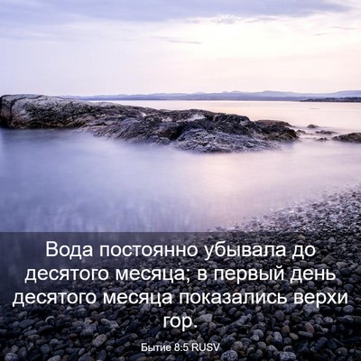 Picture 03 - Бытие 8:5 RUSV - Вода постоянно убывала до - Bible Verse Picture