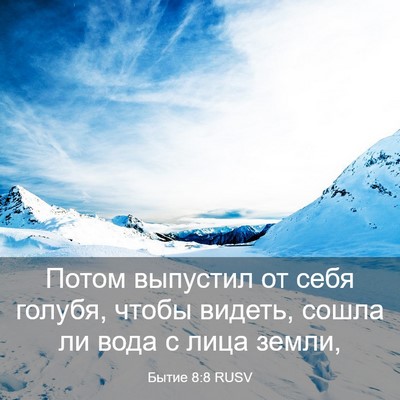 Picture 03 - Бытие 8:8 RUSV - Потом выпустил от себя - Bible Verse Picture