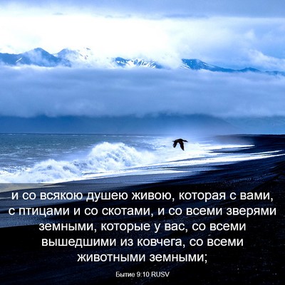 Picture 03 - Бытие 9:10 RUSV - и со всякою душею живою, - Bible Verse Picture