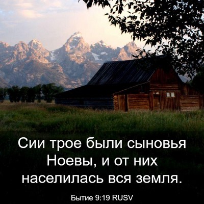 Picture 03 - Бытие 9:19 RUSV - Сии трое были сыновья - Bible Verse Picture