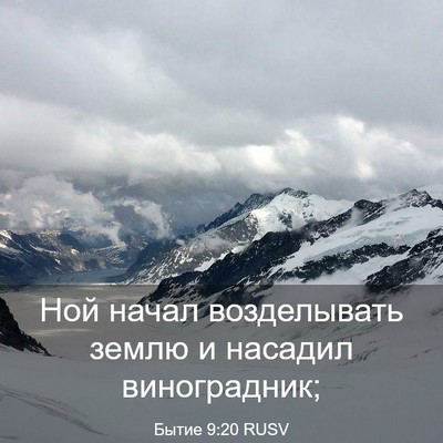 Picture 03 - Бытие 9:20 RUSV - Ной начал возделывать - Bible Verse Picture