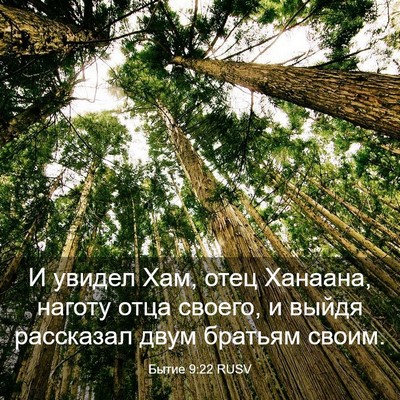 Picture 03 - Бытие 9:22 RUSV - И увидел Хам, отец Ханаана, - Bible Verse Picture