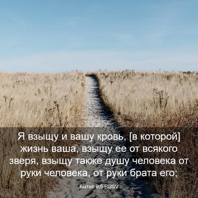 Picture 03 - Бытие 9:5 RUSV - Я взыщу и вашу кровь, [в - Bible Verse Picture