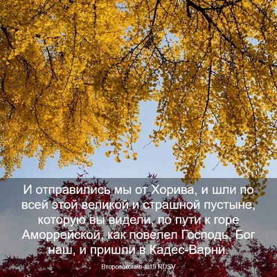 Picture 03 - Второзаконие 1:19 RUSV - И отправились мы от Хорива, - Bible Verse Picture