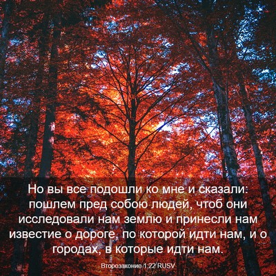 Picture 03 - Второзаконие 1:22 RUSV - Но вы все подошли ко мне и - Bible Verse Picture