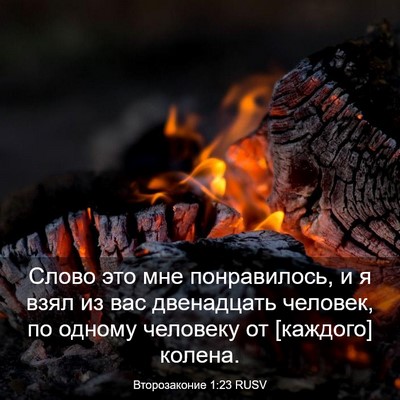 Picture 03 - Второзаконие 1:23 RUSV - Слово это мне понравилось, - Bible Verse Picture