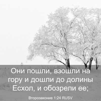 Picture 03 - Второзаконие 1:24 RUSV - Они пошли, взошли на гору и - Bible Verse Picture