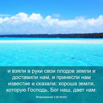 Picture 03 - Второзаконие 1:25 RUSV - и взяли в руки свои плодов - Bible Verse Picture