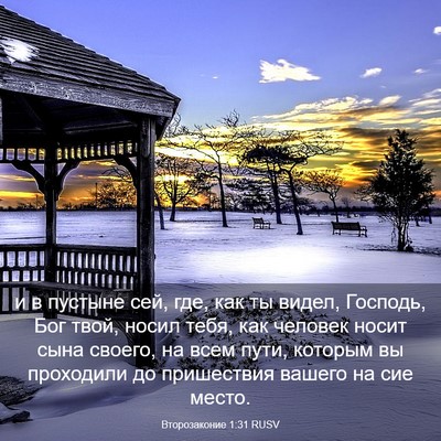 Picture 03 - Второзаконие 1:31 RUSV - и в пустыне сей, где, как ты - Bible Verse Picture