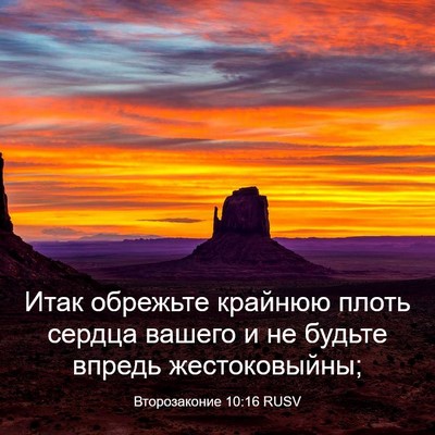 Picture 03 - Второзаконие 10:16 RUSV - Итак обрежьте крайнюю - Bible Verse Picture