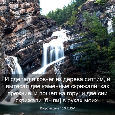 Picture 03 - Второзаконие 10:3 RUSV - И сделал я ковчег из дерева - Bible Verse Picture