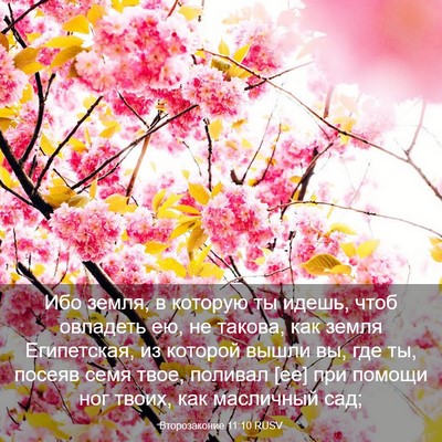 Picture 03 - Второзаконие 11:10 RUSV - Ибо земля, в которую ты - Bible Verse Picture