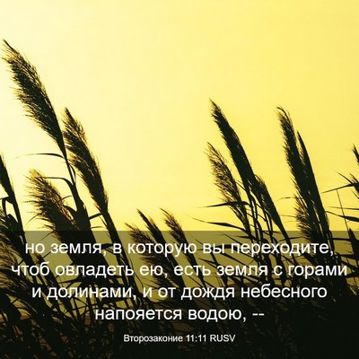 Picture 03 - Второзаконие 11:11 RUSV - но земля, в которую вы - Bible Verse Picture