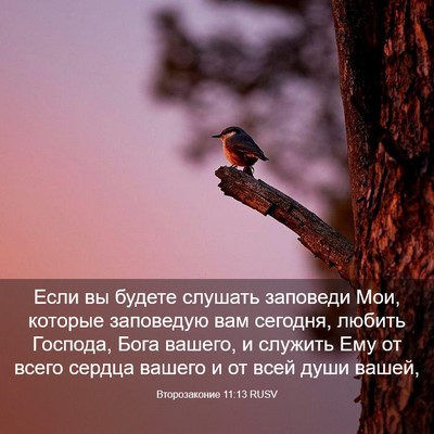 Picture 03 - Второзаконие 11:13 RUSV - Если вы будете слушать - Bible Verse Picture