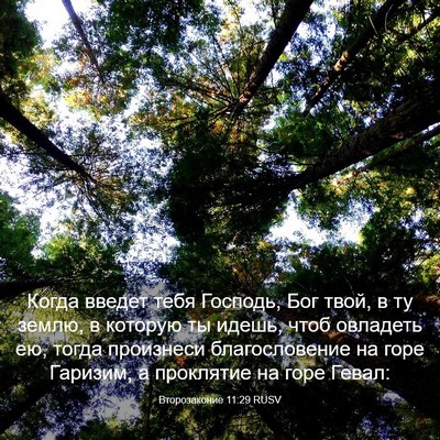 Picture 03 - Второзаконие 11:29 RUSV - Когда введет тебя Господь, - Bible Verse Picture