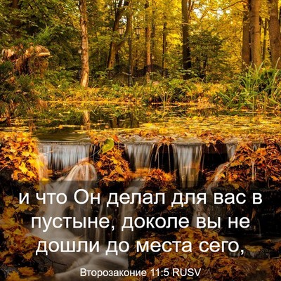 Picture 03 - Второзаконие 11:5 RUSV - и что Он делал для вас в - Bible Verse Picture