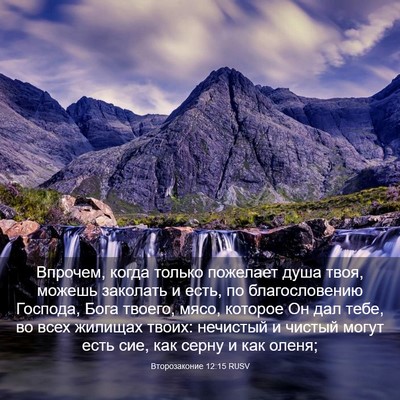 Picture 03 - Второзаконие 12:15 RUSV - Впрочем, когда только - Bible Verse Picture
