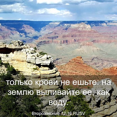 Picture 03 - Второзаконие 12:16 RUSV - только крови не ешьте: на - Bible Verse Picture